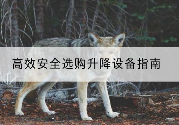 两当升降货梯厂家推荐-*安全选购升降设备指南