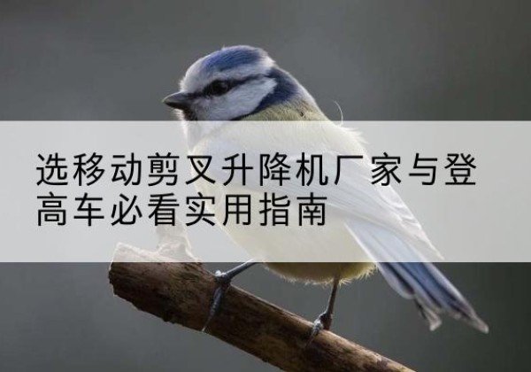 两当电动升降机厂家-选移动剪叉升降机厂家与登高车必看实用指南