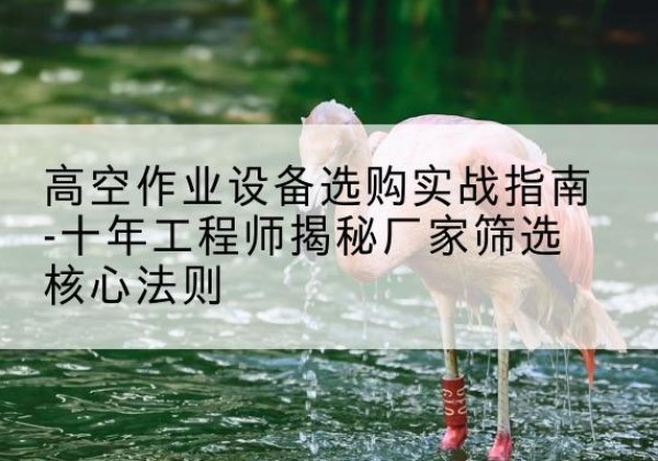 两当剪叉式升降机厂家-高空作业设备选购实战指南-十年工程师揭秘厂家筛选核心法则